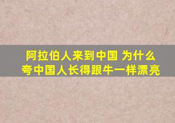 阿拉伯人来到中国 为什么夸中国人长得跟牛一样漂亮